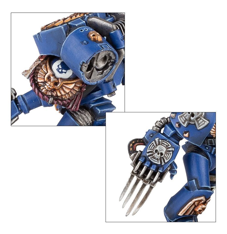 Vanguard Veteran s lightning claws