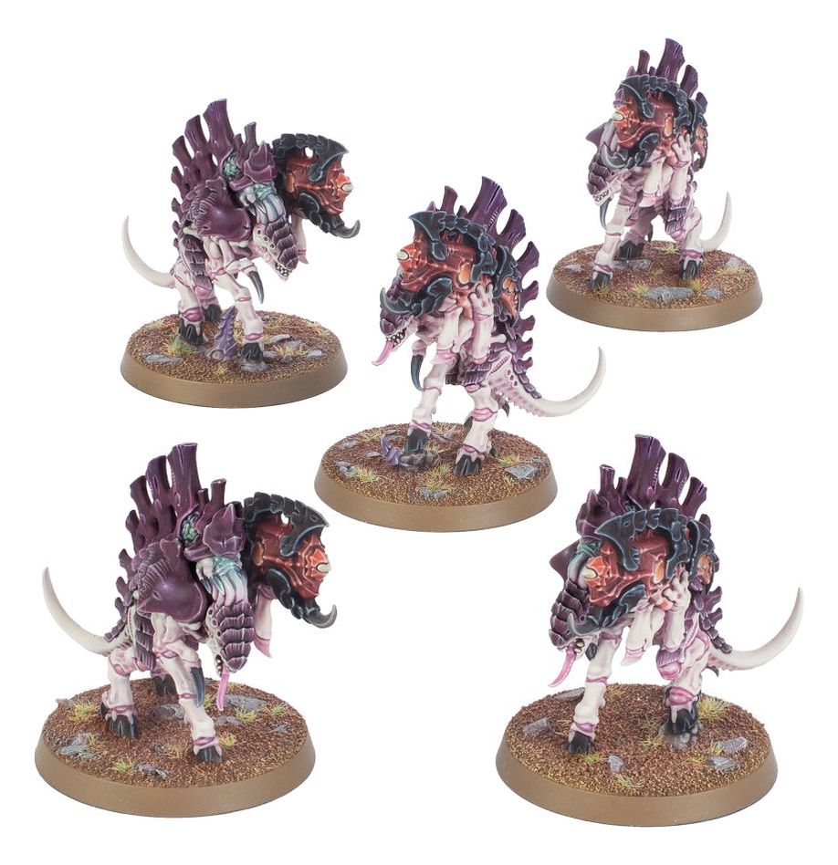 Tyranids z boxu