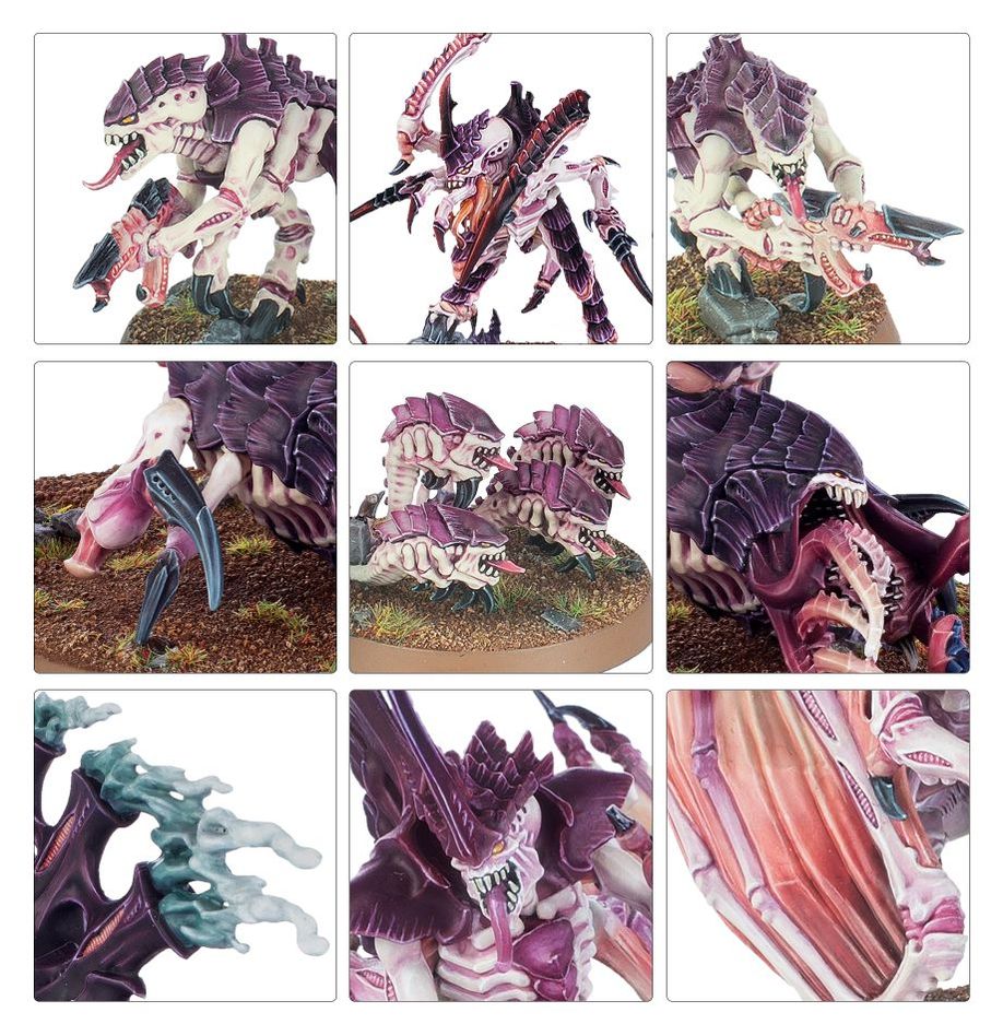 Ukážka obsahu knihy