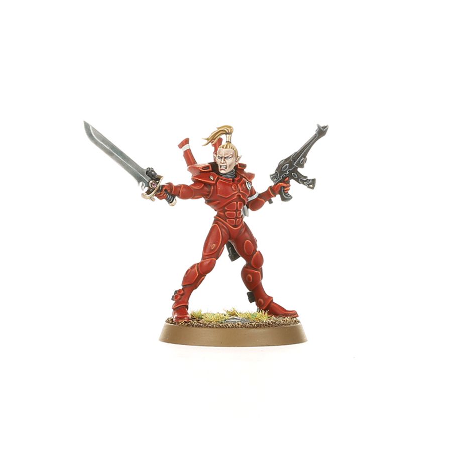 Aeldari Guardian miniatures