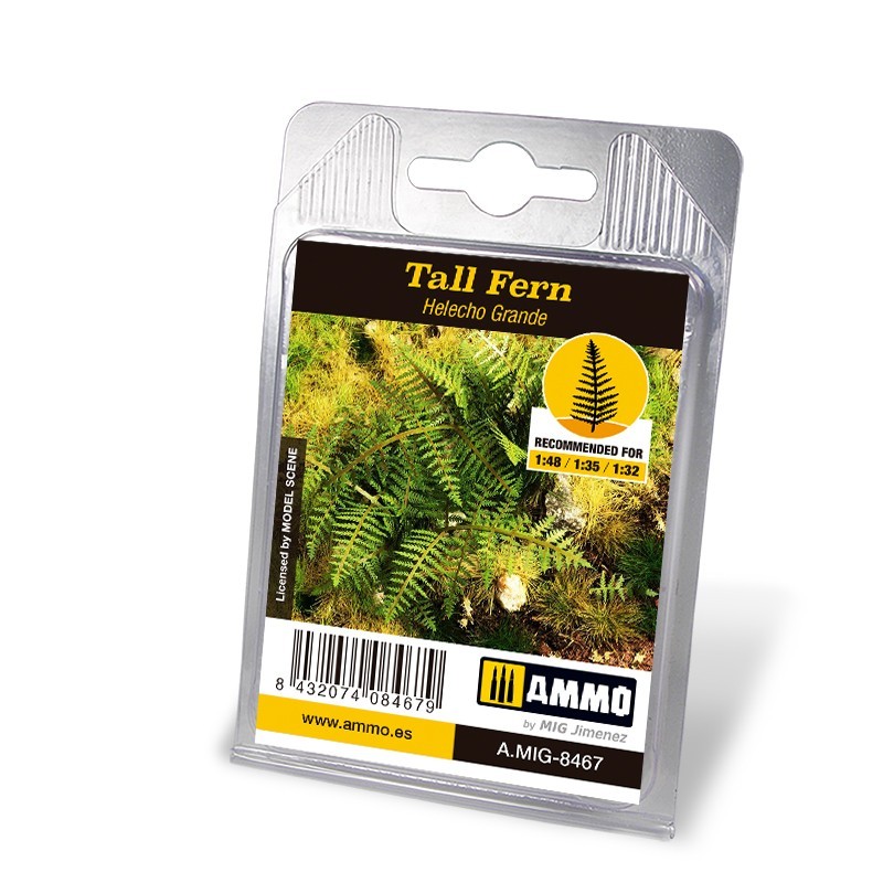 Tall Fern