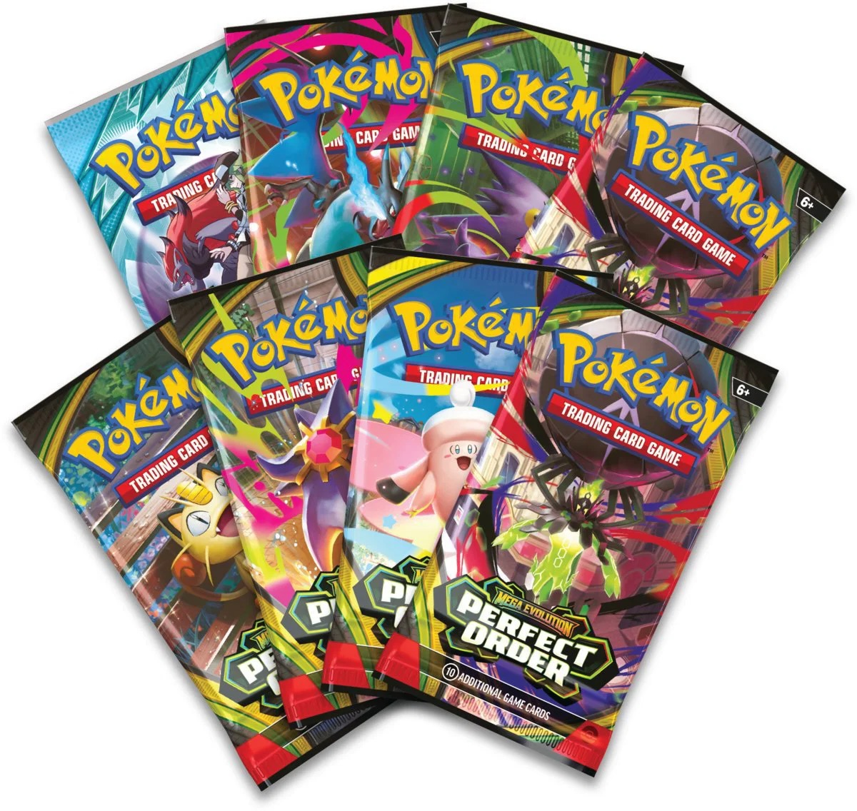Pokémon TCG Premium Collection box presentation view
