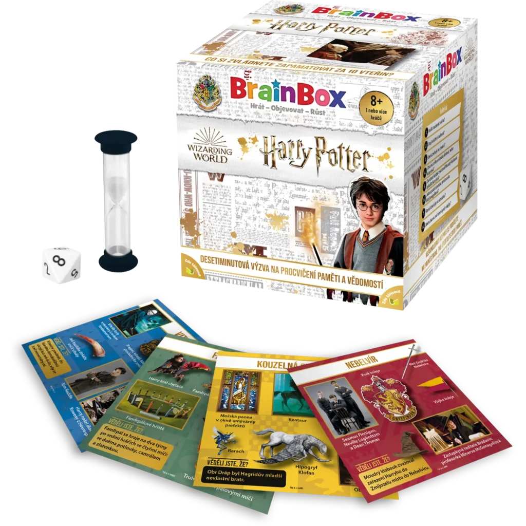 Children playing BrainBox: Harry Potter.