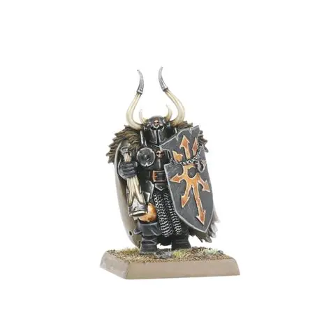 A ranked line of Chaos Warriors with shields and hand weapons