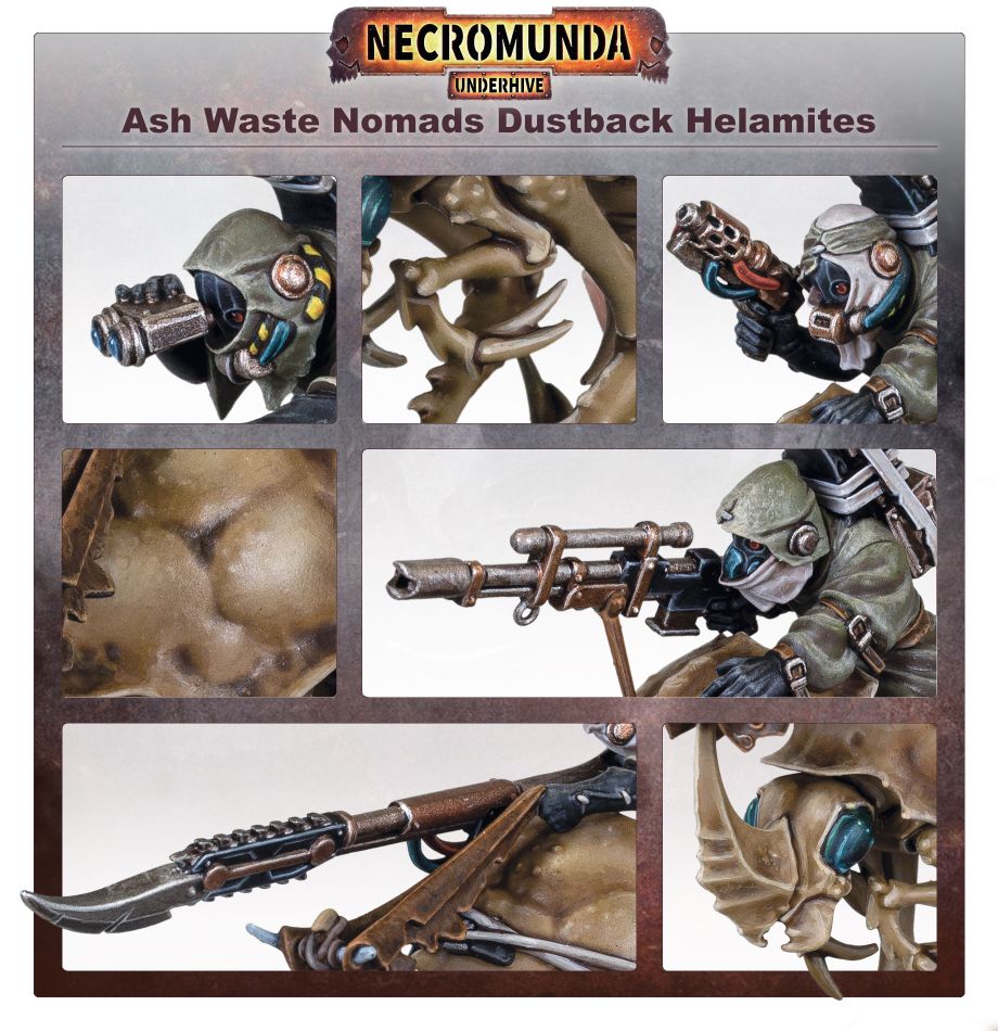 Dustback Helamite v boji