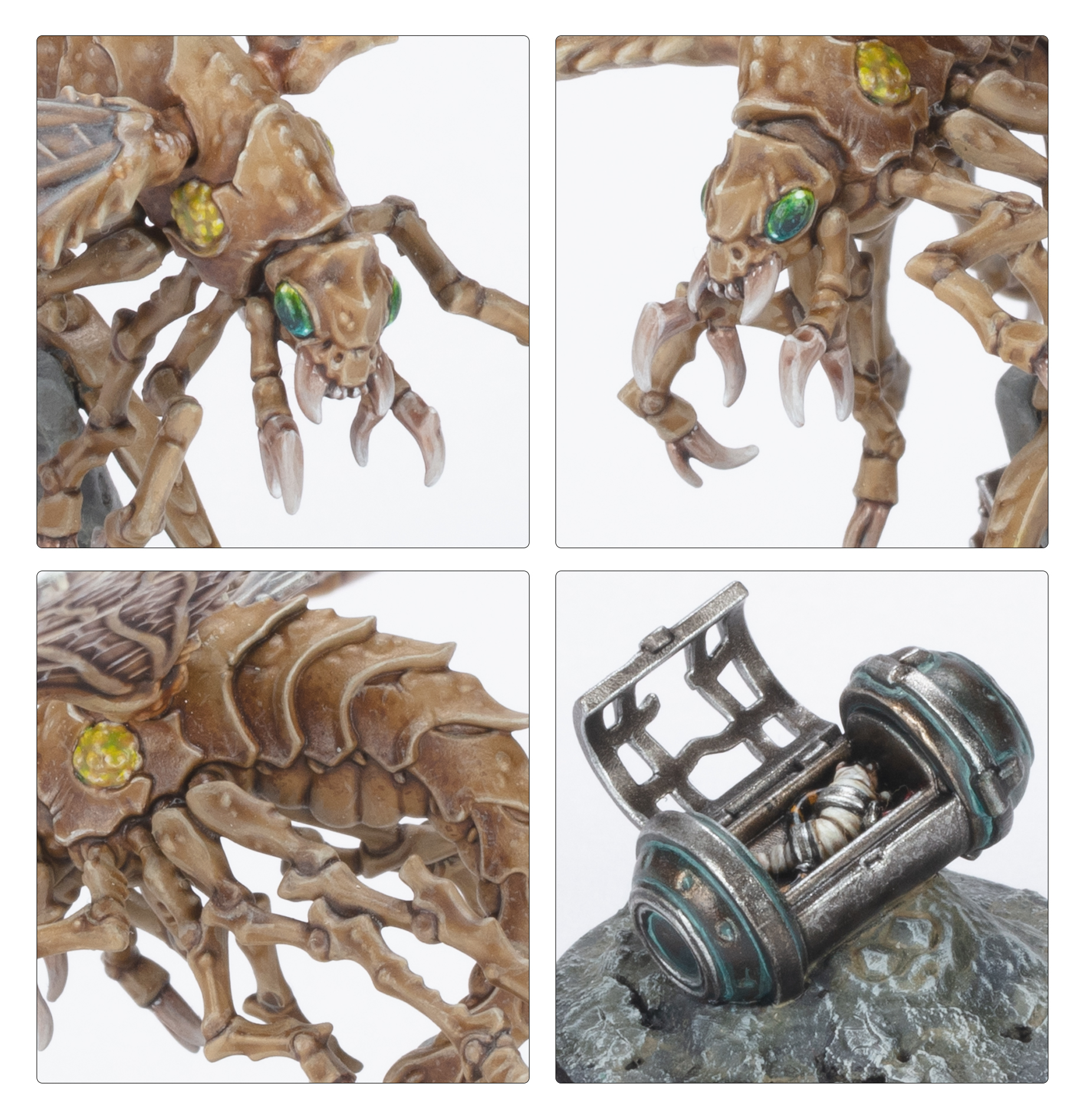 Ashwing Helamites in combat pose