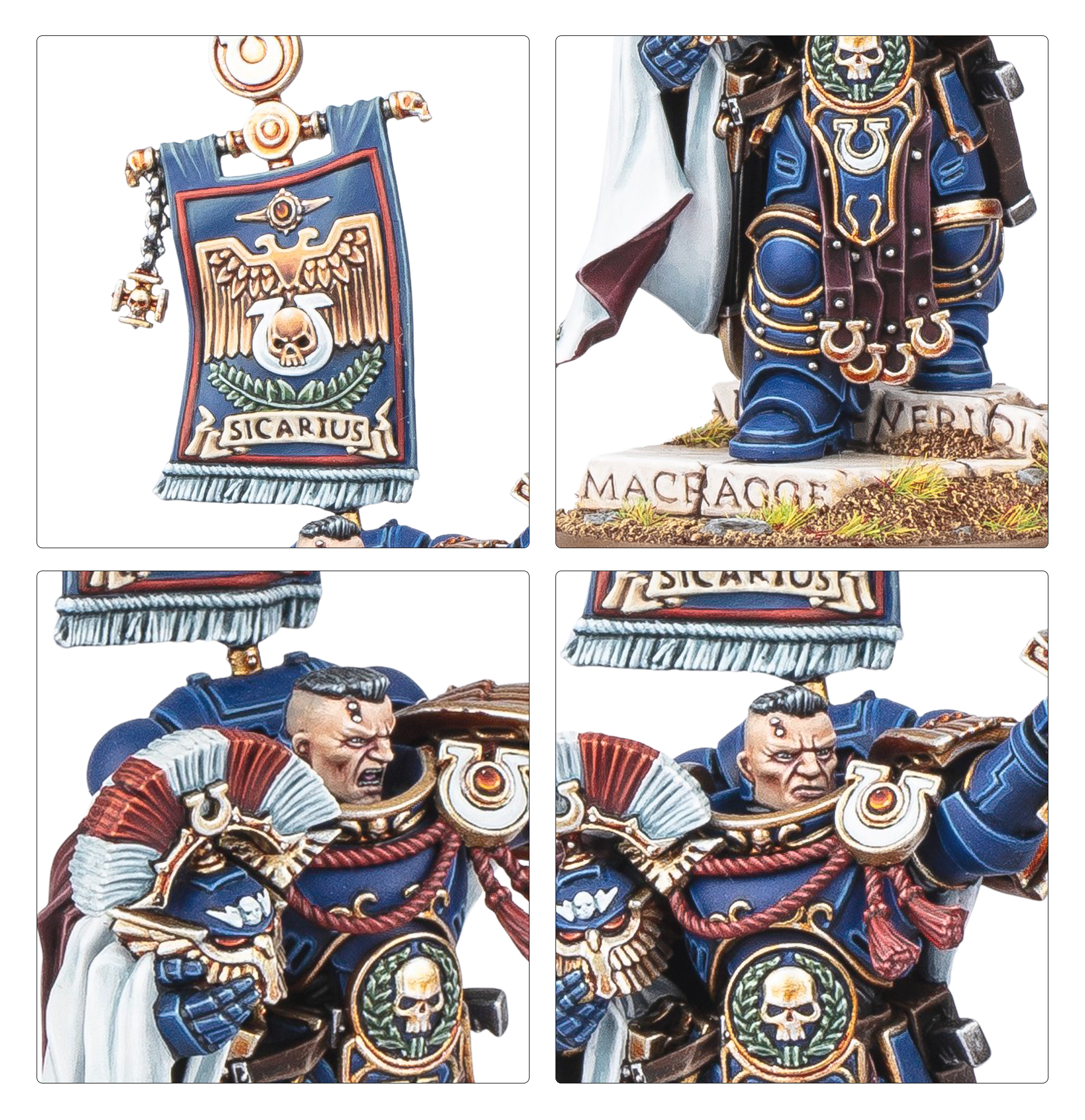 Cato Sicarius detailed view