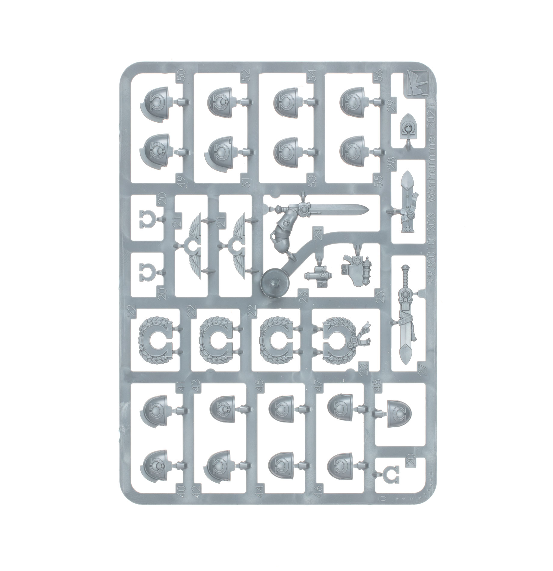 Citadel hobby tools and painting essentials