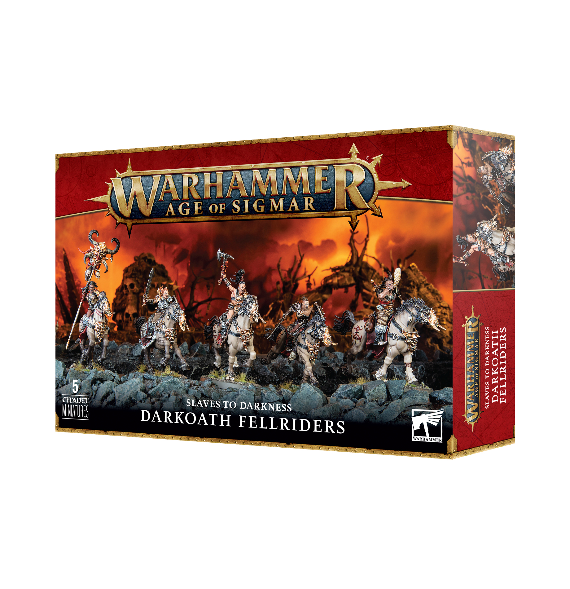 Darkoath Fellriders - pohľad na veliteľa