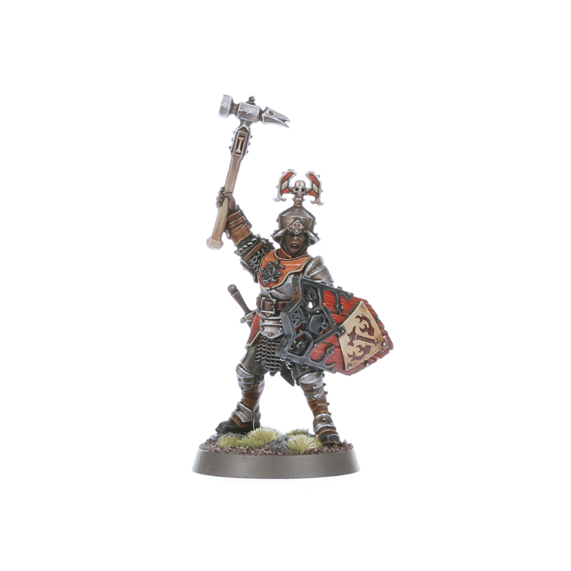 Freeguild Steelhelms miniature set in full armor
