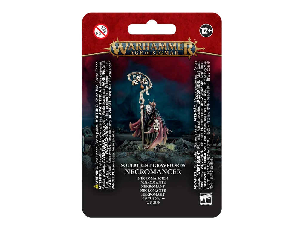 Necromancer on the battlefield
