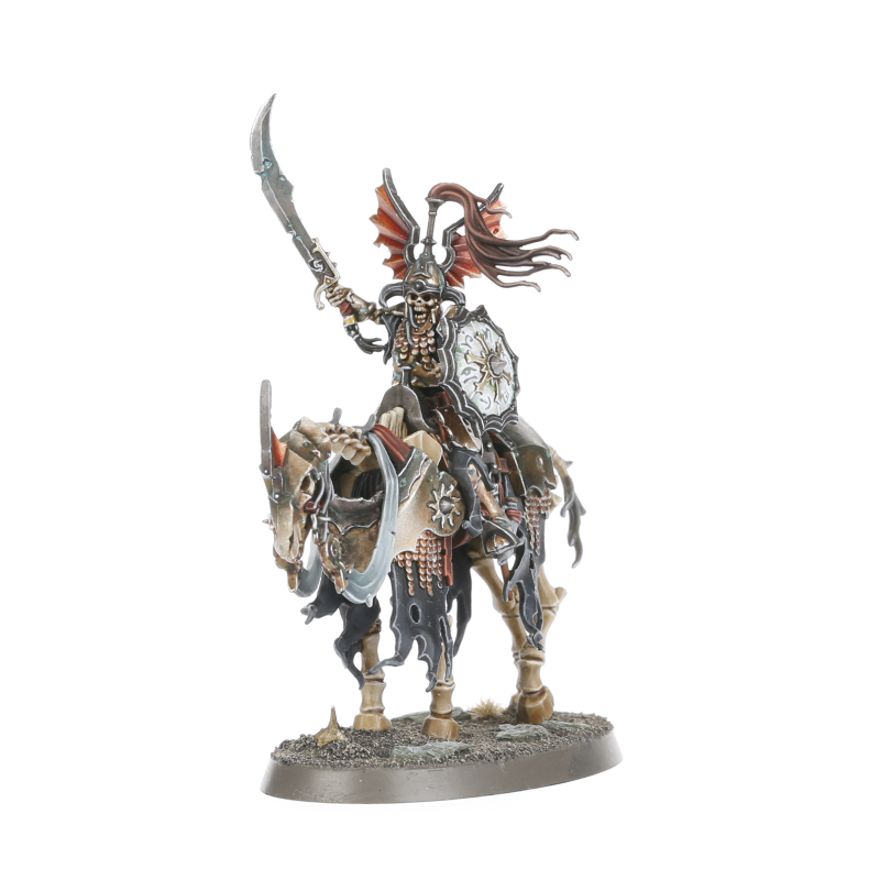 Age of Sigmar: Soulblight Gravelords - Barrow Knights - assembled models