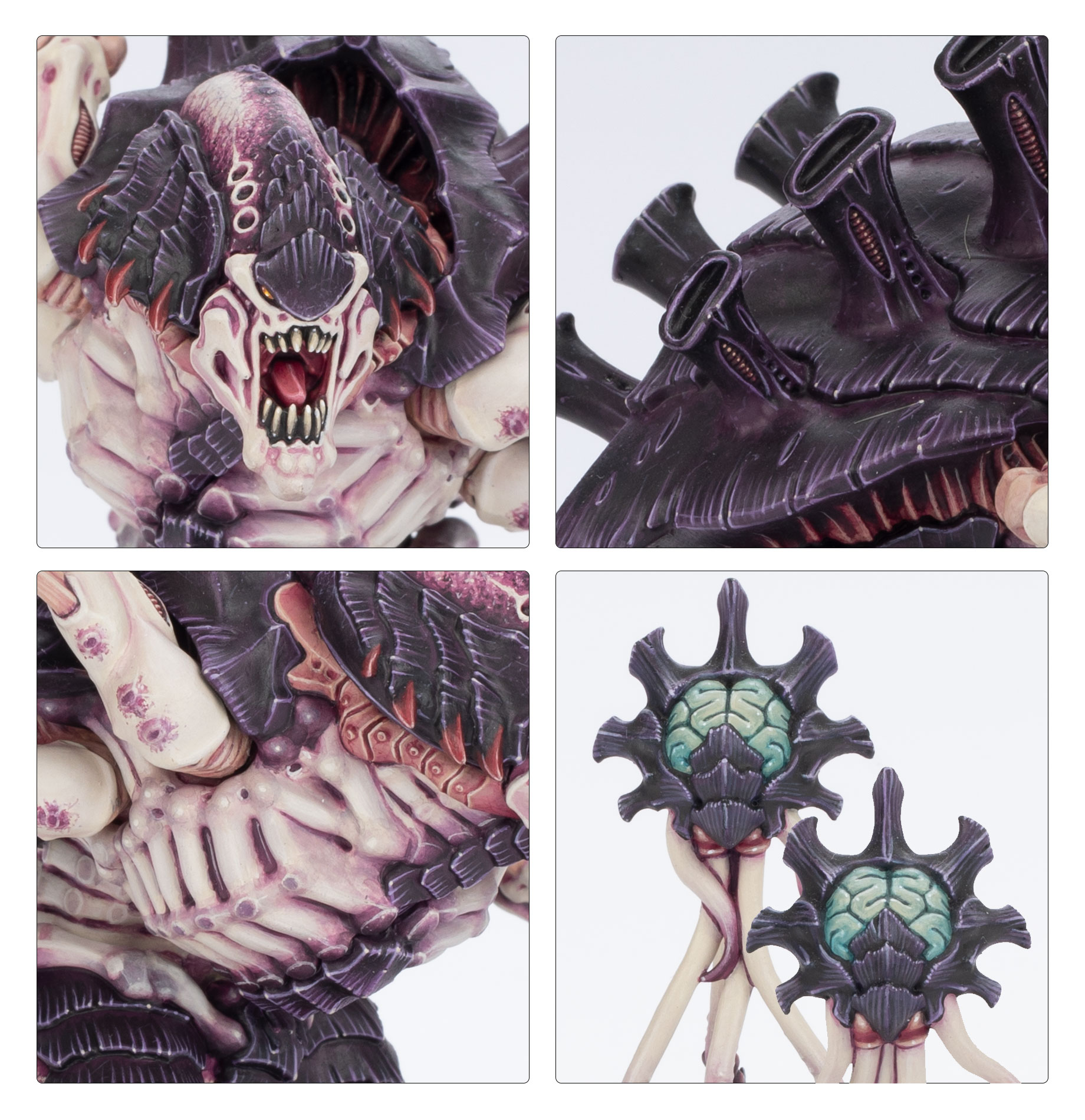 Tyranids Horrors of the Hive detaily