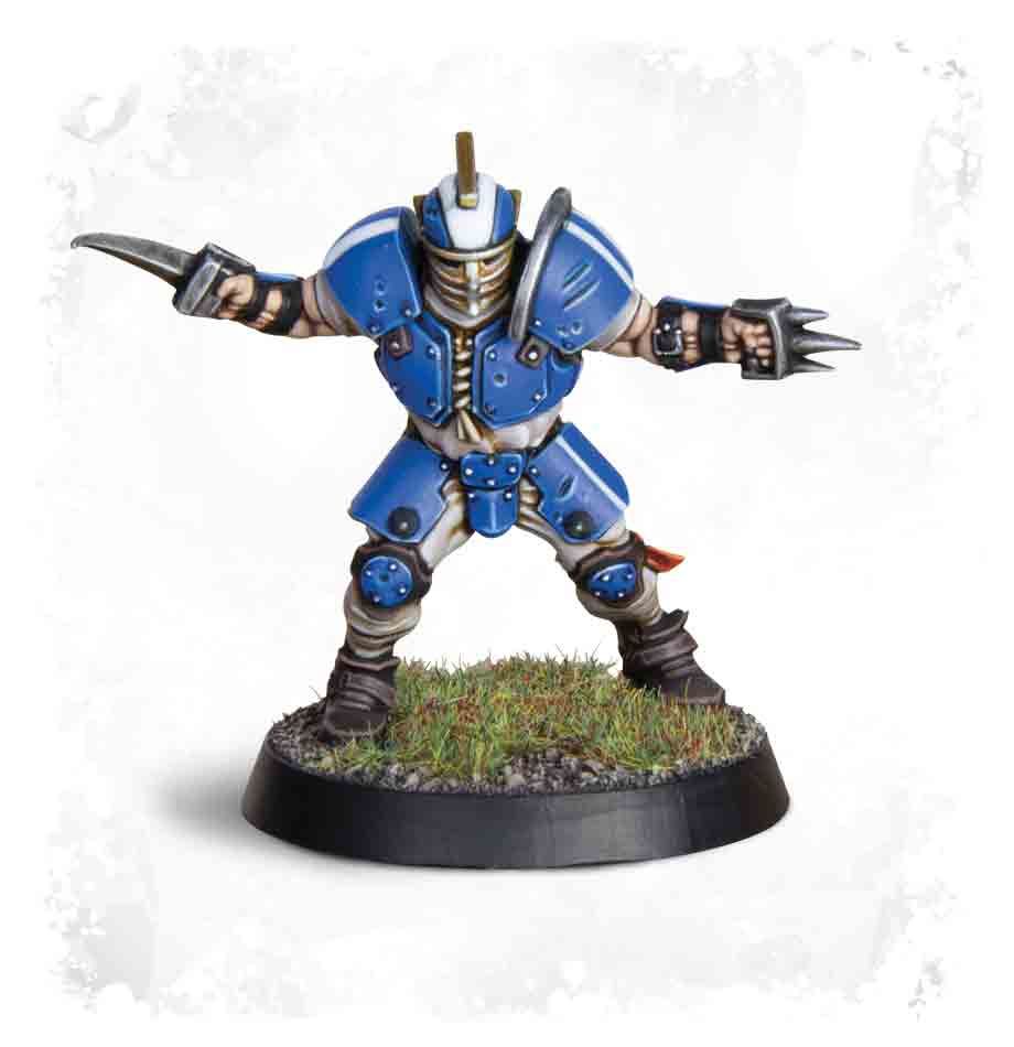 Blood Bowl: Human Team: Reikland Reavers