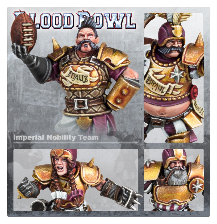 Pohled na detaily výstroje týmu Imperial Nobility