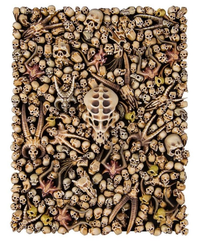 Citadel Skulls – detaily a obsah balenia